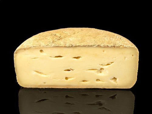 CHEVRE DES PYRENEES