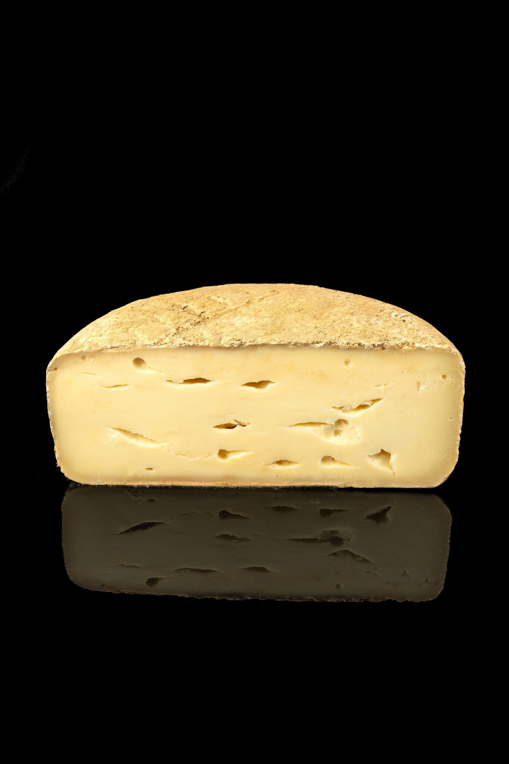 CHEVRE DES PYRENEES