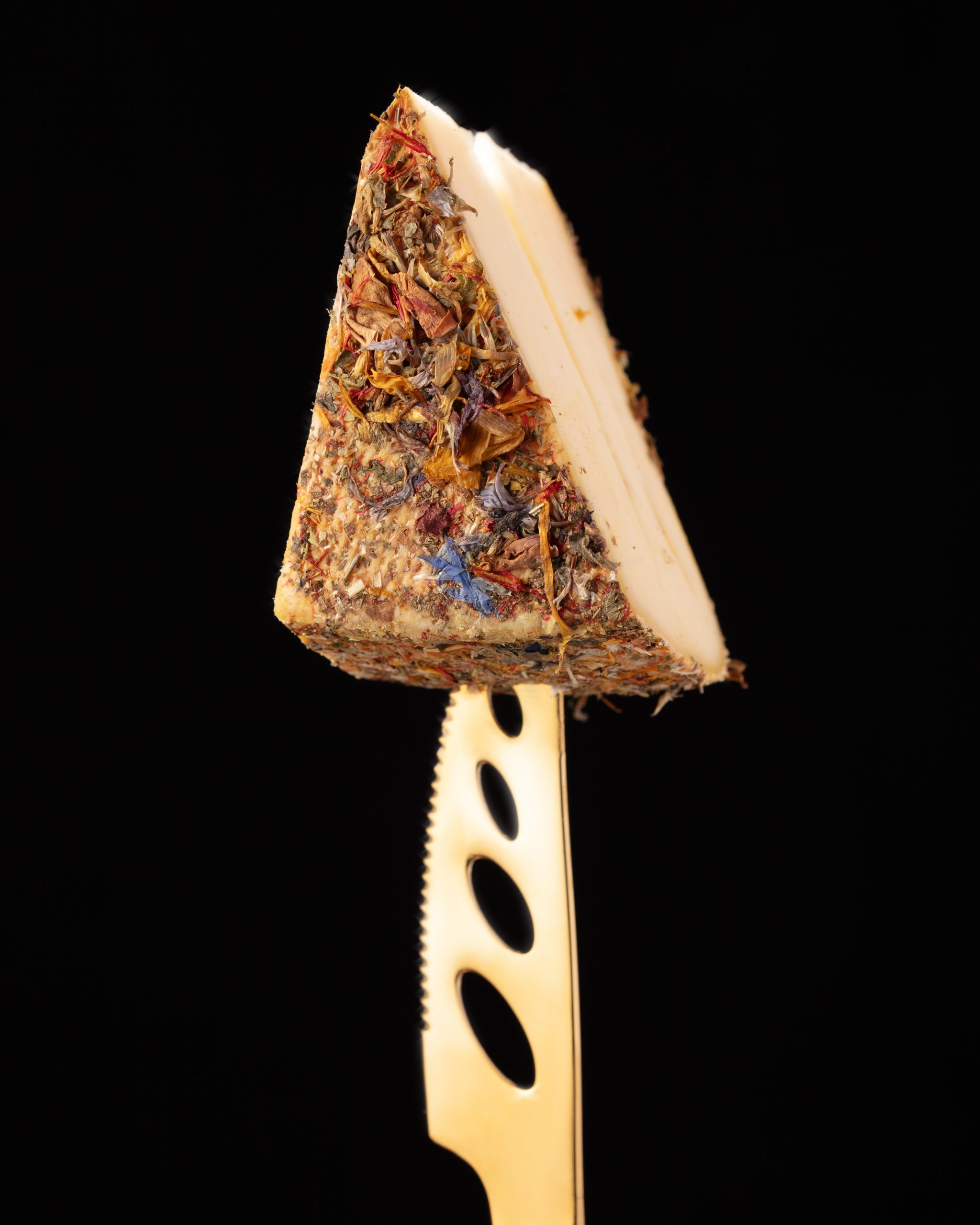 TOMME AUX FLEURS