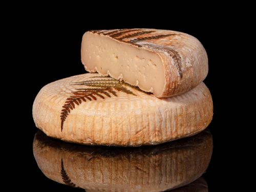 BREBIS FILETTA