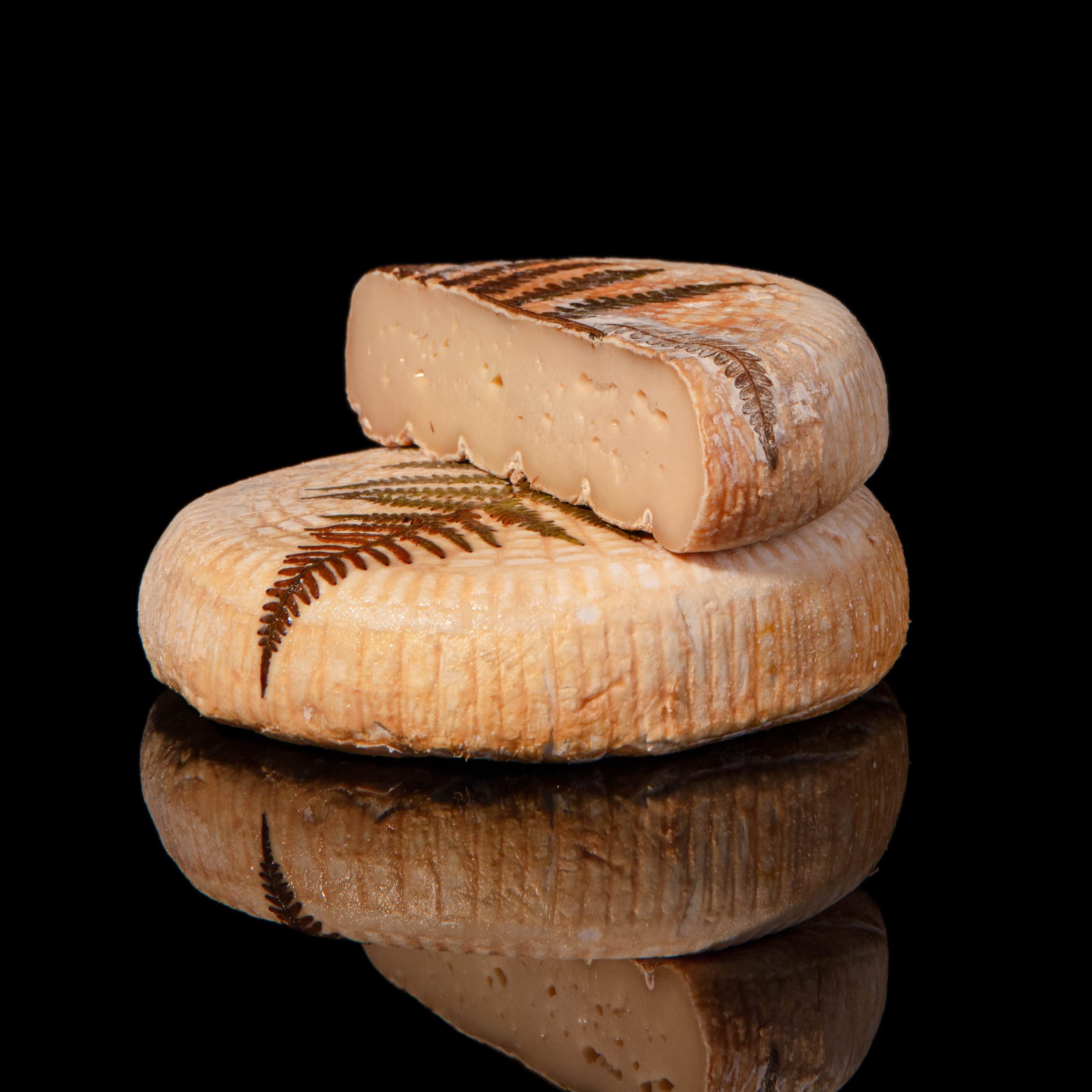 BREBIS FILETTA