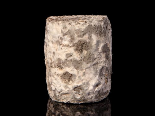 CHAROLAIS