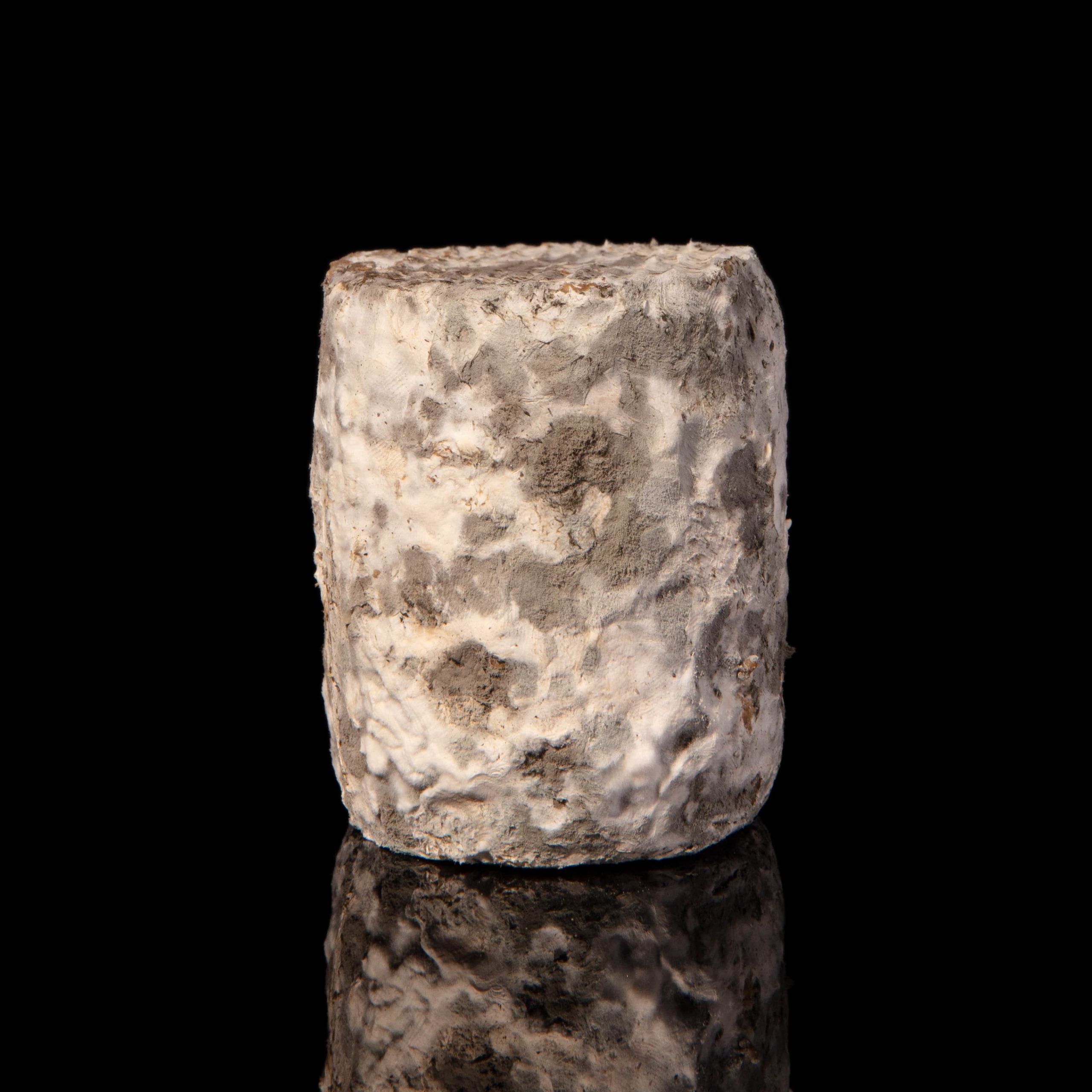 CHAROLAIS