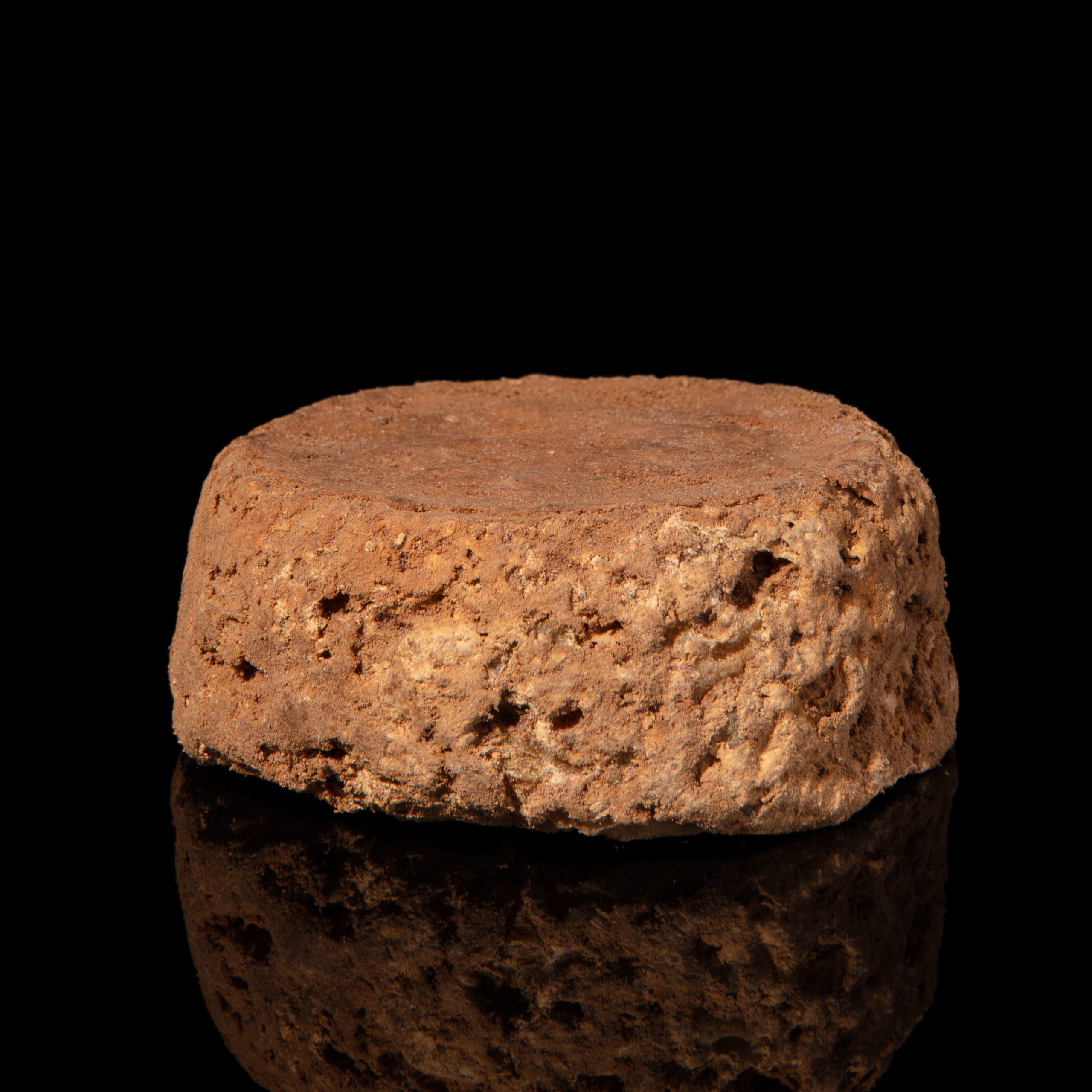 CHEVRE CERONEE
