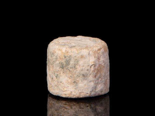 PETIT BREBIS