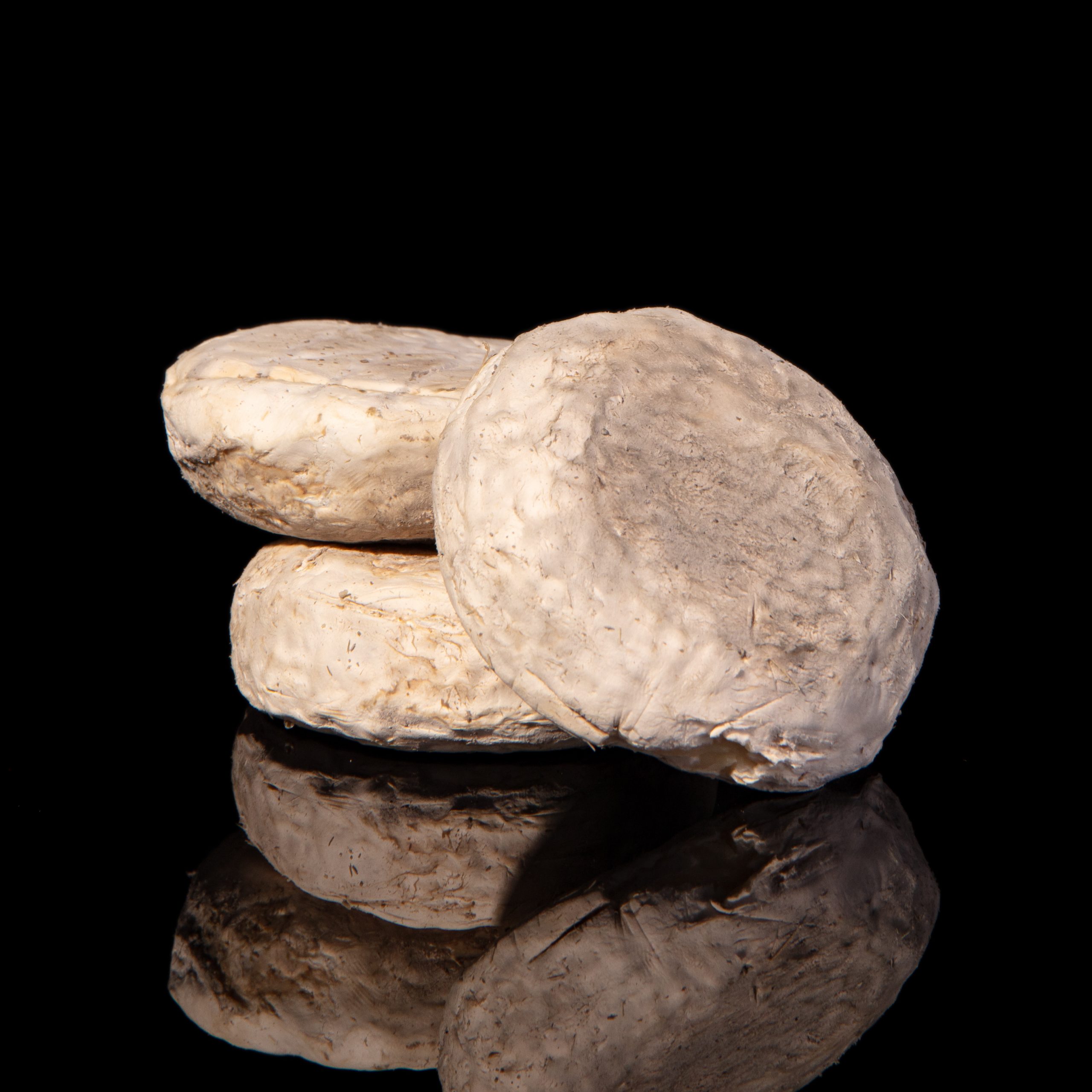 PICODON