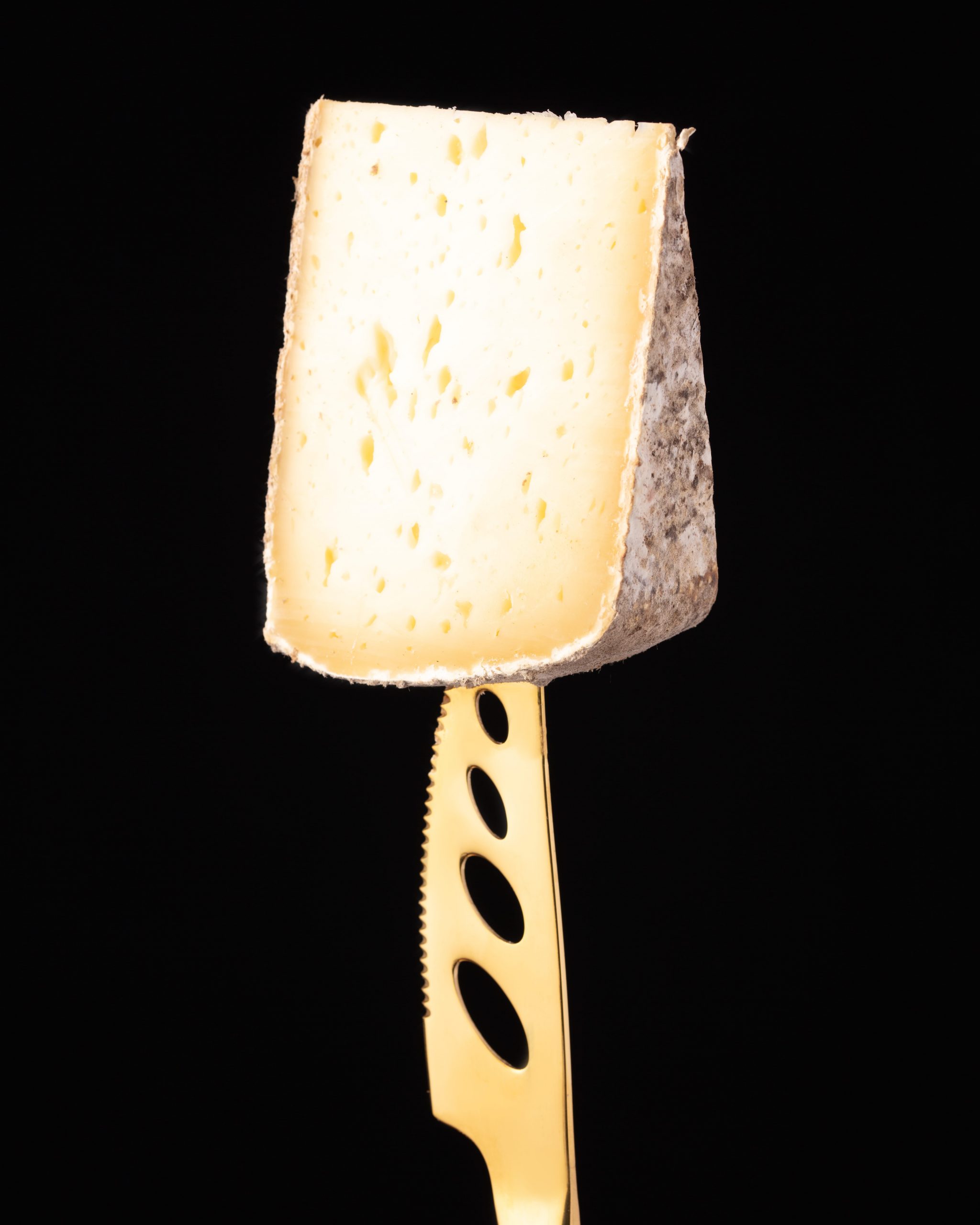 TOMME DE SAVOIE LAITIER